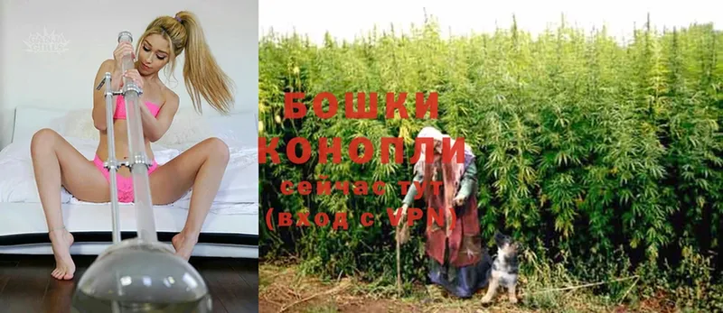 Бошки Шишки White Widow  MEGA онион  Кущёвская 